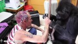 Flea, basista Red Hot Chili Peppers uczy grać na gitarze... goryla! [FILM]
