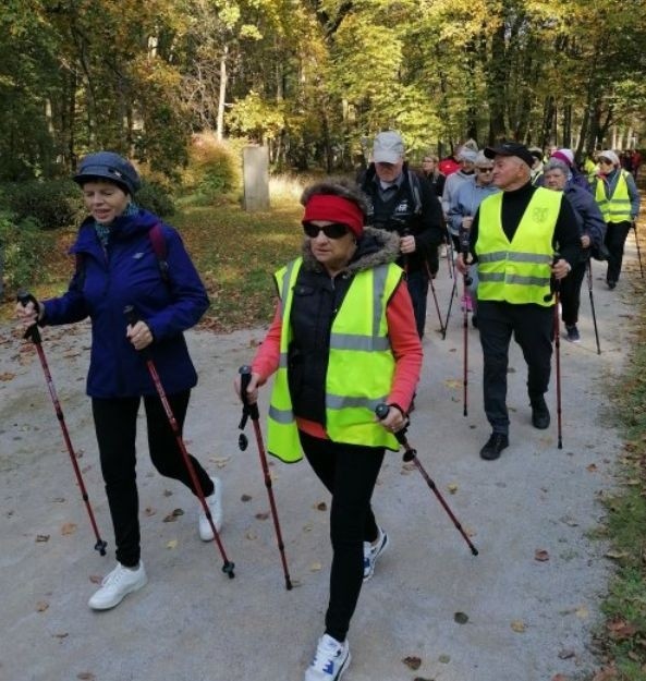 Marsz po zdrowie z seniorami w Orońsku. Uczestnicy szali ulicami oraz po parku Centrum Rzeźby Polskiej