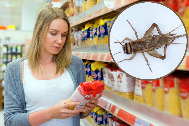 Dla wielu osób jedzenie owadów może być niedopuszczalne. Informacja o zawartości w produkcie mąki ze świerszczy czy innych składników pochodzących od owadów musi być umieszczona na opakowaniu.