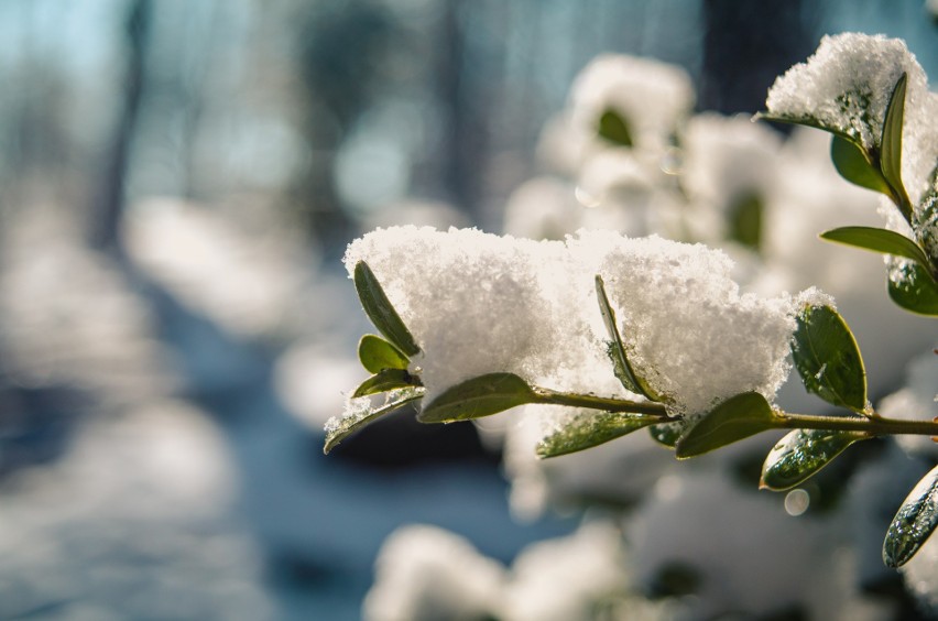 Prognoza pogody na koniec grudnia 2019. Synoptycy ostrzegają przed trudnymi warunkami na drogach. Może sypnąć śniegiem