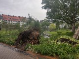 Mieszkańcy Przemyśla wyjechali do Paderborn, aby pomóc usuwać skutki orkanu [ZDJĘCIA]