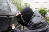 Biuro Spraw Wewnętrznych: "Dla dobra policji" zatuszowano "wykupkę" kradzionego samochodu?