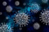 Koszmarne dane! Nie żyje 25 kolejnych osób ze Świętokrzyskiego zakażonych koronawirusem. Zobacz skąd