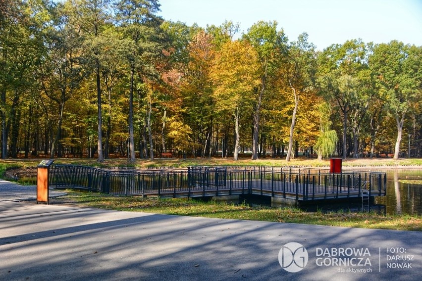 Tak wygląda po przebudowie park Zielona