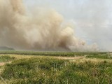 Pożar w Biebrzańskim Parku Narodowym. Pali się kilkanaście hektarów łąk. Na miejscu kilkadziesiąt zastępów straży pożarnej