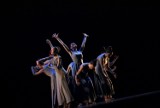 Tancerze z Ogniska Baletowego w Lublinie gościli w Belgii