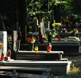 Od 80 do 160 zł życzą sobie firmy za uporządkowanie grobu na opolskim cmentarzu