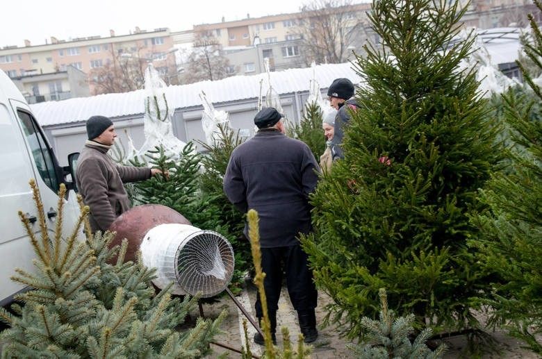 Swoją ofertę przedstawiła także sieć marketów budowlanych...