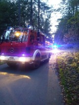 Śmiertelny wypadek w Pomlewie. Kierowca motocykla nie żyje, pasażerkę odwieziono do szpitala