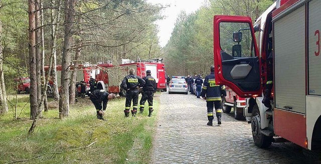 Policjanci i strażacy przeszukiwali teren między Kłodawą a Łubianką