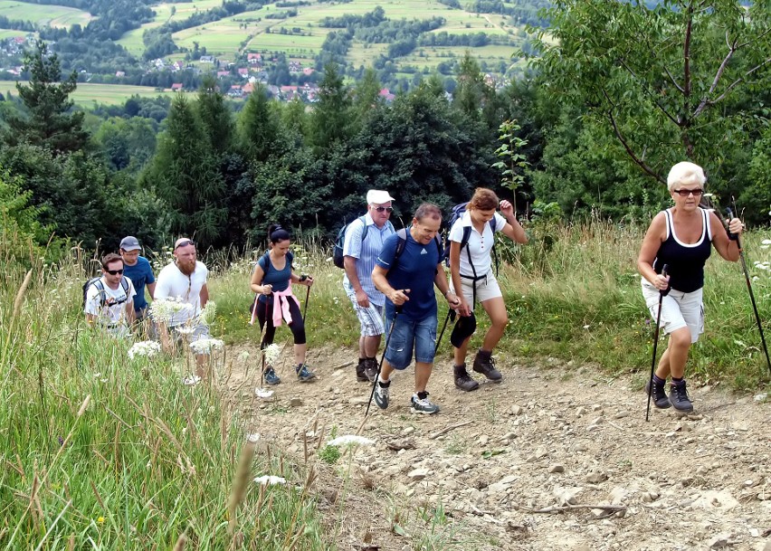 Odkryj Beskid Wyspowy. W niedzielny poranek wspięli się na Szczebel. Bardzo liczną grupę stanowili najmłodsi turyści [ZDJĘCIA]