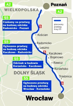 11,8 hektarów zagajników trzeba wykarczować, by mogła...