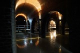 Atrakcja turystyczna Gdańska. To ostatnie dni na jej zwiedzanie. 150-letni podziemny zbiornik wody z największym siedliskiem nietoperzy