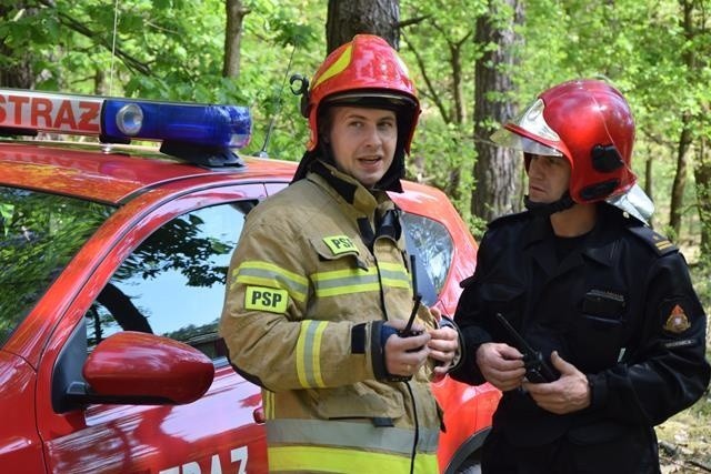Strażacy z powiatu golubsko-dobrzyńskiego, brodnickiego i rypińskiego wzięli udział w ćwiczeniach w leśnictwie Płonne.