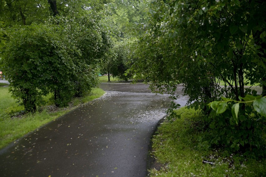 Park na Plantach w Radomiu ucierpiał w czasie ulewy. Zobacz jak teraz wygląda