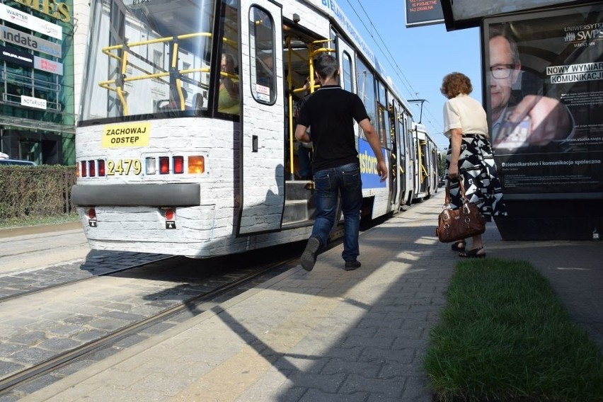 W poniedziałek skrawki trawników pojawiły się na...