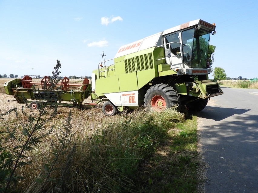 Żniwa 2020. Zobacz te piękne ZDJĘCIA z prac polowych i sprawdż ceny zbóż