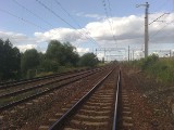 Marszałek walczy o pieniądze na linię kolejową Rail Baltica