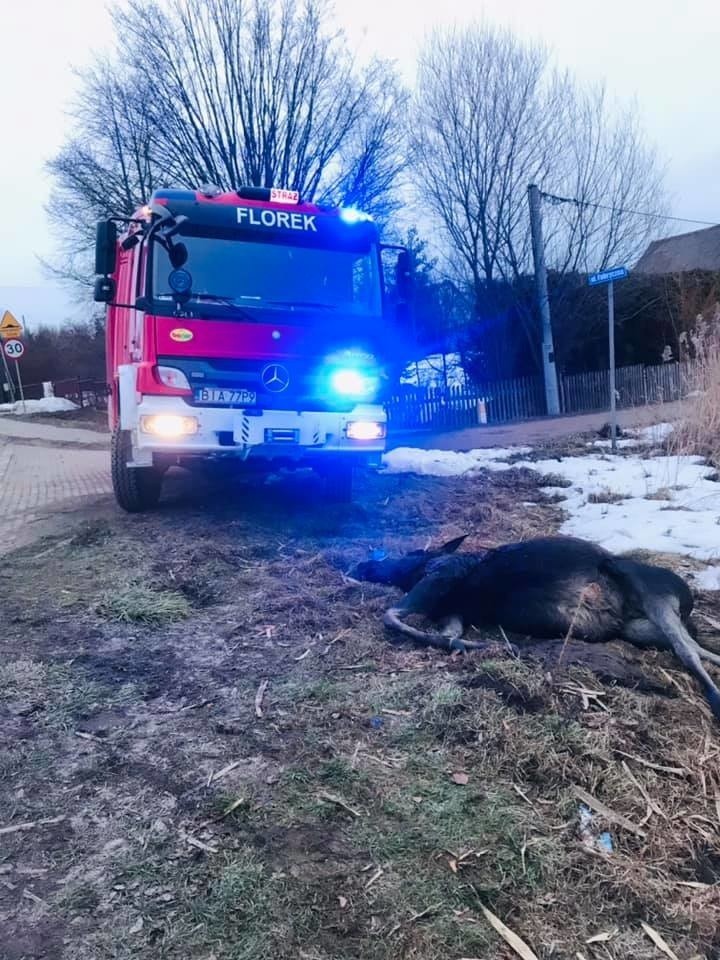 Dobrzyniewo Fabryczne. Strażacy wyciągnęli z rzeki zwłoki...