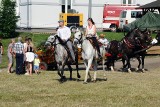 Międzynarodowy Festiwal Folkloru Karpat w Trzcinicy [ZDJĘCIA]