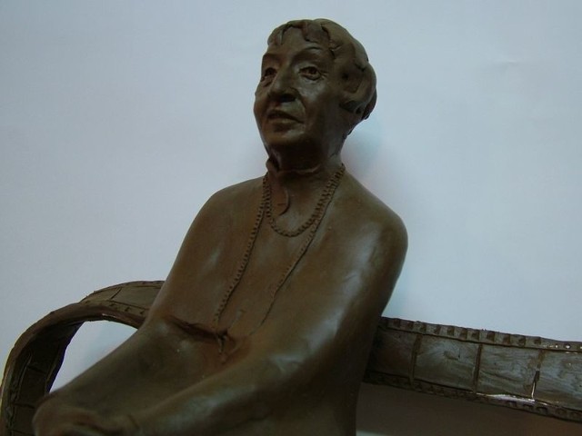 Twarz Ireny Kwiatkowskiej na projekcie pomnika wywołała największe emocje wśród internautów. Większość oceniających uznała, że postać z pomnika nie jest podobna do zmarłej aktorki.