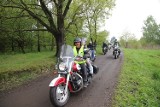 Rybnik. Zlot motocyklistów, koncerty i parada. Miłośnicy motocykli hucznie inaugurują sezon na rybnickiej Grzybówce