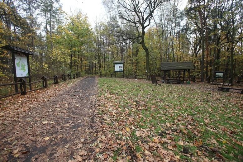 Morderstwo w Katowicach: W tym miejscu doszło do morderstwa