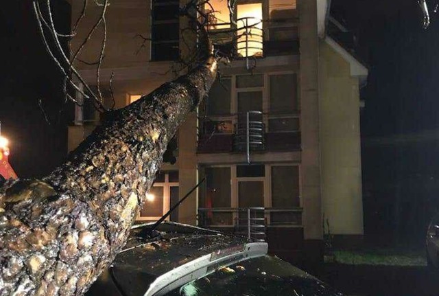 Drzewo powalone na budynek akademika w Zielonej Górze, uszkodziło jednocześnie dach samochodu.