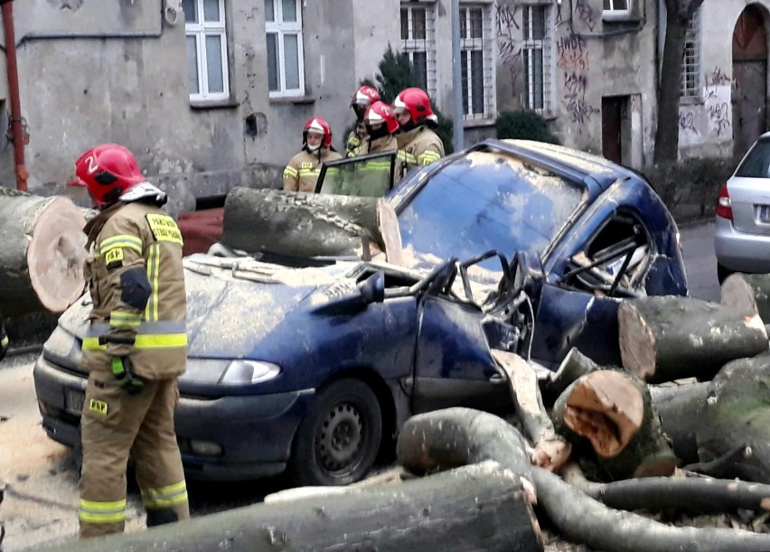 20-metrowe drzewo przewróciło się w podwórku przy ul....