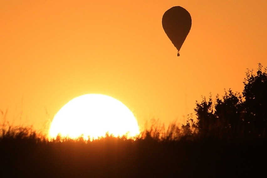 Zawody balonowe w Nałęczowie. Balony poszły w górę [DUŻO ZDJĘĆ]