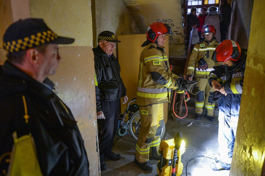 Mieszkaniec Przemyśla wyjechał za granicę, a swojego psa zamknął w mieszkaniu. Strażacy siłowo otworzyli drzwi [ZDJĘCIA]