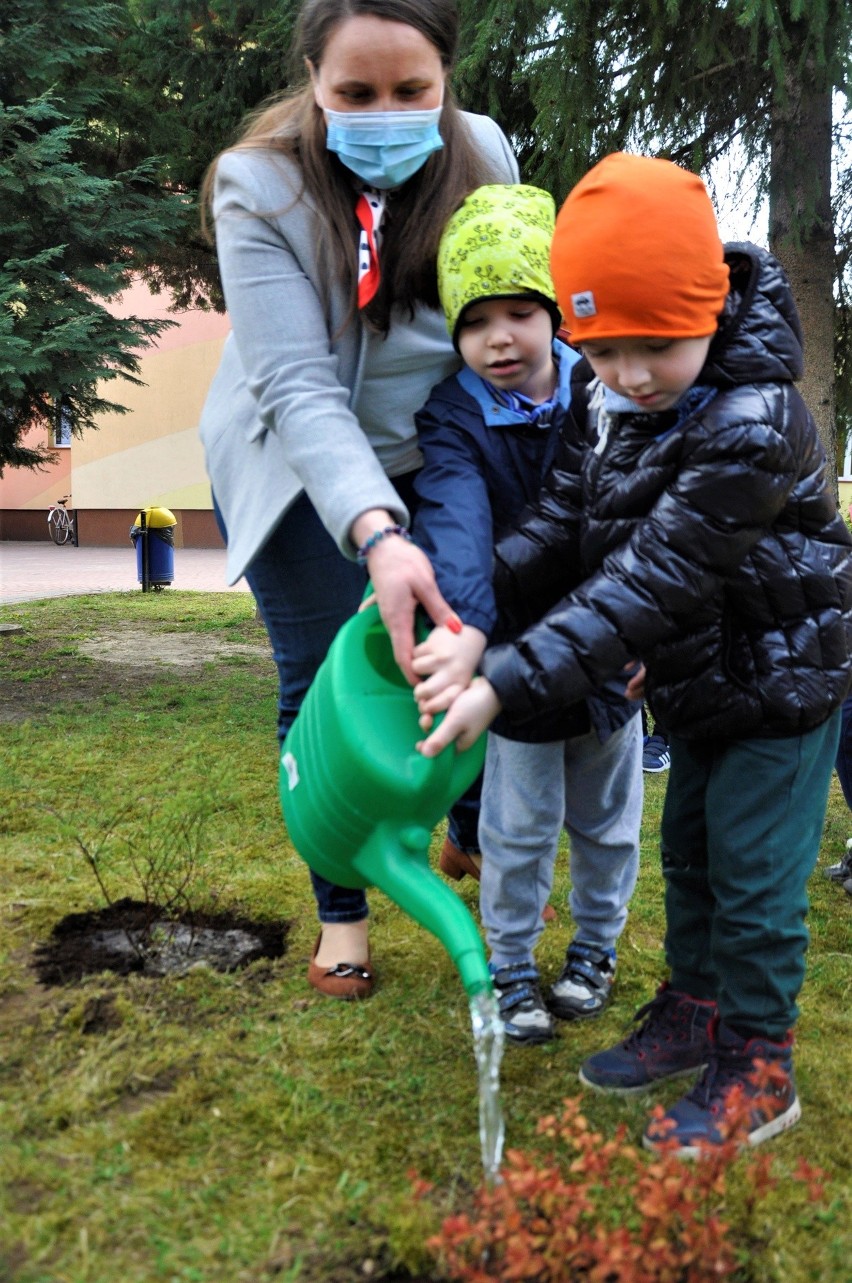 Nowe wyzwanie dla przedszkolaków w Połańcu  - udział w konkursie Poszukiwacze wiosny [ZDJĘCIA]