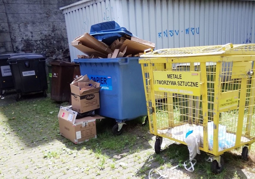 Wiata na śmietniki jest zamknięta, a kubły stoja przed nią....