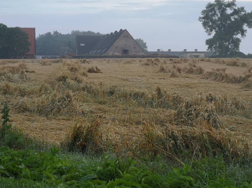 Spore straty odnotowano w powiecie grudziądzkim