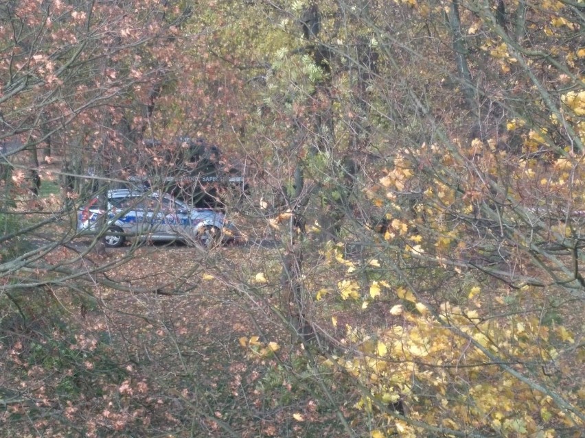 Niewybuch przy ul. Storrady w Szczecinie? To fragment bomby zapalającej. Koniec ewakuacji [ZDJĘCIA, WIDEO]