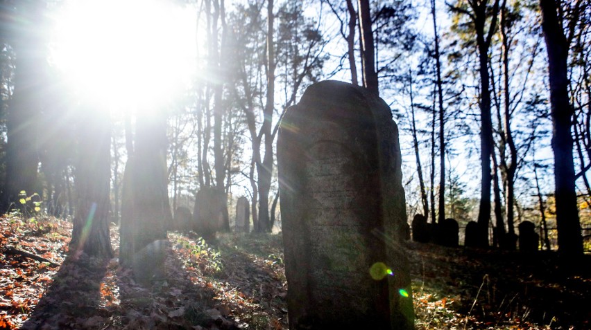 Cmentarz żydowski w Kolbuszowej według niektórych źródeł historycznych powstał w XVIII w. Zobaczcie, jak teraz wygląda 