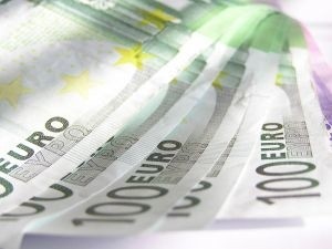 W tym roku na dopłaty dla polskich rolników pójdzie około 3 mld euro. (fot. sxc)