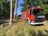 Pożar młodnika między Kędzierzynem-Koźlem a Raszową. W akcji również śmigłowiec straży pożarnej