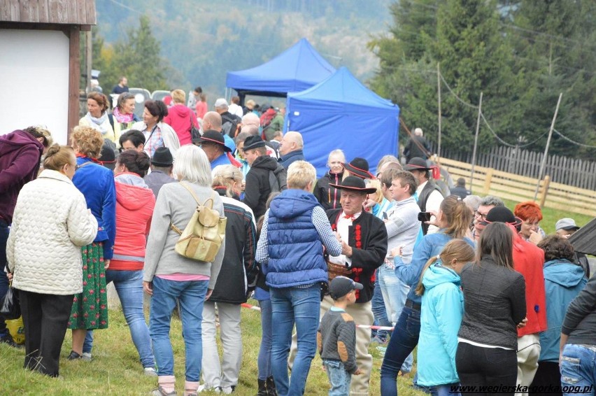 Jesienny spęd owiec Łossod 2016 w Żabnicy