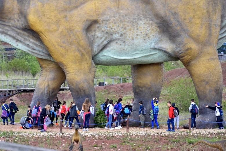 JuraPark Krasiejów otwarty od 21 maja. Dostępne dla...