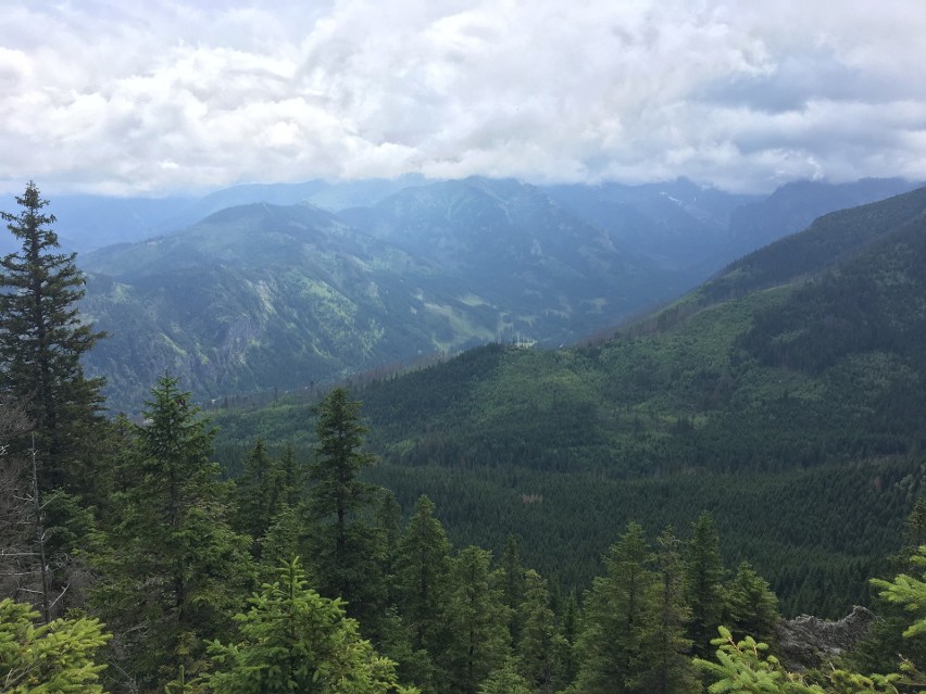 Tatry. Turystów na górskich szlakach jest sporo, ale tłumów (na szczęście) nie spotkamy