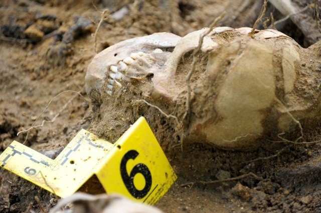 Na terenie Aresztu Śledczego wciąż odnajdywane są nowe szkielety