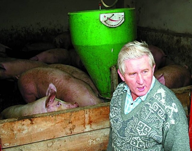 Ryszard Surmiak z Lubrzy kolo Prudnika nawet nie chce liczyć swoich strat. W ostatnich latach sporo zainwestował w produkcję świń. Obawia się, że ciężko mu będzie dalej prowadzić własne gospodarstwo rolne.