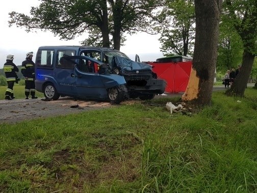Śmiertelny wypadek w pobliżu Kniewa, 27.05.2019 roku. Samochód osobowy uderzył w drzewo!