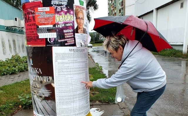 Pani Grażyna Orczykowska sprawdza, gdzie ma iść w niedzielę, aby zagłosować w referendum.