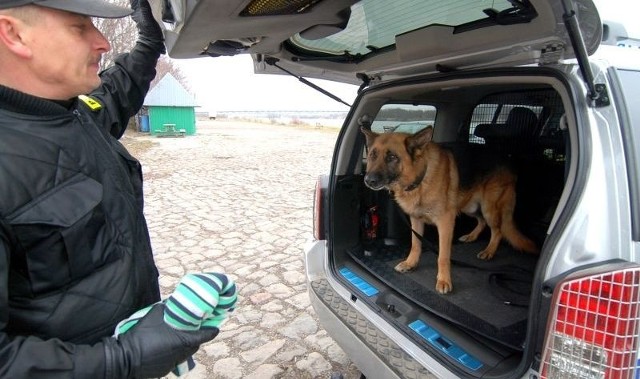 Sierżant sztabowy Andrzej Zasuwa, przewodnik policyjnego psa, wspólnie ze swoim podopiecznym szukali we wtorek 23-latka.