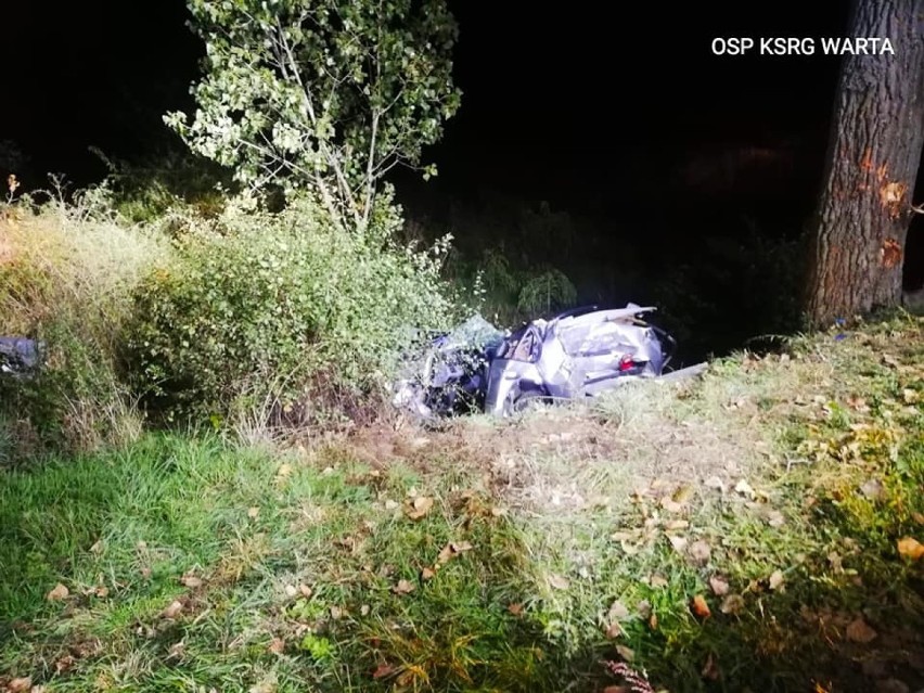 Śmiertelny wypadek na drodze krajowej. Nie żyje 34-letni mężczyzna. Wpadł bmw do przydrożnego rowu ZDJĘCIA