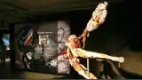 Body Worlds to wystawa, która wzbudza kontrowersje i zarazem fascynuje. Czy wartą ją obejrzeć? 