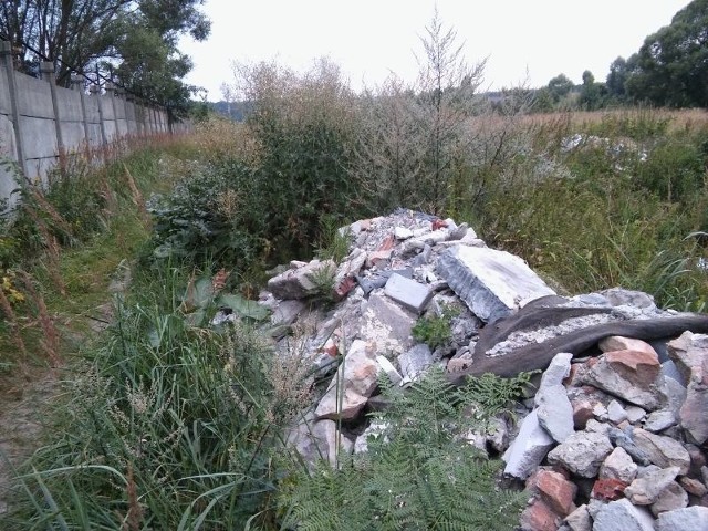 Nielegalnie śmieci pozbywają się budowlańcy. Na zdjęciu odpady z remontu i gruz przy ulicy Kieleckiej w Suchedniowie.