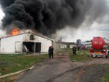 Wielki pożar w Baczynie. Spłonęło 4 tys. indyków (zdjęcia)